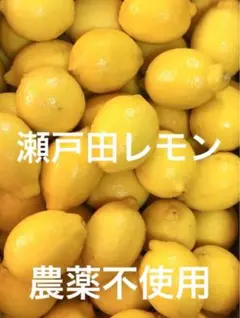 ②国産瀬戸田レモン