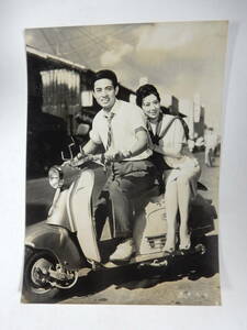 スチール写真1枚「風来先生」津川雅彦　環三千世　市村泰一監督　1961年