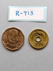 外国コイン　チリ　 (Rー７１３)　５０ペソ硬貨　１９８８年