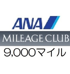 全日空ANA9,000マイル　希望の口座へ加算