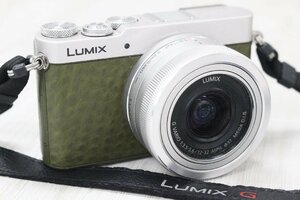 【行董】AC551ABC89 Panasonic パナソニック LUMIX ルミックス DMC-GM5 グリーン レンズ付き ミラーレス一眼 デジタルカメラ デジカメ