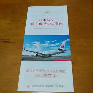 JAL 日本航空　株主優待　小冊子(国内旅行割引券2024/5/31) 