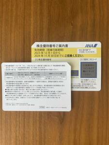 【送料無料】ANA 株主優待券 有効期間（搭乗可能期間）2023年12月1日から2024年11月30日　GWや夏休みでもお得に使える！