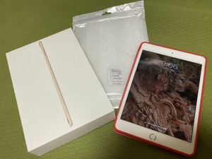 iPad mini 4【SIMフリー】