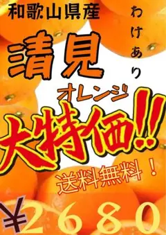 【和歌山県産】清見オレンジ10kg 【訳あり】