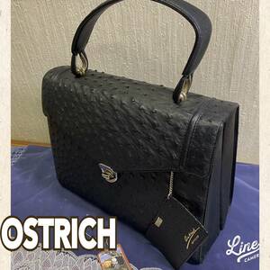 美品 ◆ オーストリッチ ◆ ハンドバッグ Bag BLACK 黒 ◆ OSTRICH ◆ レディース カバン