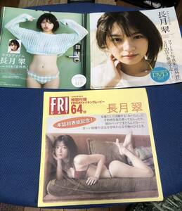 長月翠　関連DVD2枚　週刊プレイボーイ　FRIDAY フライデー 写真集メイキングDVD