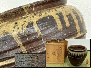 桃山時代 古備前 水屋甕 壺 壷 桂又三郎識箱 備前焼 骨董品 美術品 6038mbdyN