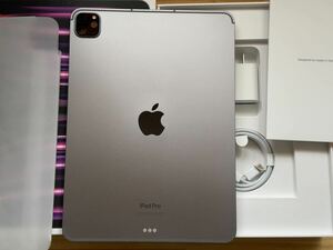 M2 2TB iPad Pro 11インチ 4世代 cellular スペースグレイSIMフリー