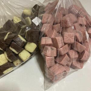 訳あり【ミニチョコ＆イチゴシェル】アウトレット　お買い得