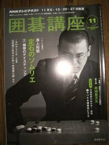 ●NHK囲碁講座 2011年⑪ 溝上知親 ②模様のテイスティング D