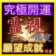 現役霊視鑑定士の最上級霊視鑑定　占い/仕事/恋愛/縁結び/金運/タロット
