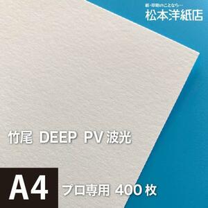 竹尾 DEEP PV 波光 A4サイズ：400枚 竹尾 紙 絵画紙 水彩紙 印刷紙 写真印刷用紙 インクジェット用紙
