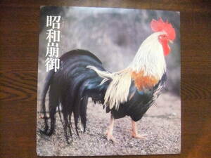 EP-4 リ・ン・ガ・フ・ラ・ン・カ「昭和崩御」 EXRTA 45 rpm COCO dB ZOY AP-017 写真・藤原信也