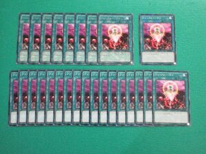 《遊戯王》　ワン・フォー・ワン　字レア ×8　ノーマルパラレル ×1　ノーマル ×17　計26枚セット　カード番号混合　③