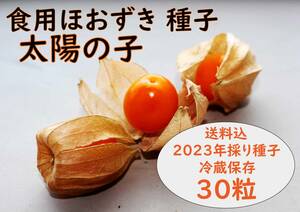 食用ほおずき「太陽の子」種子30粒 ワンコイン500円
