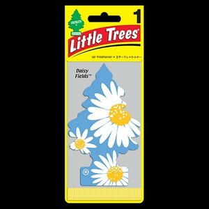 Little Trees Daisy Fields（デイジー・フィールズ）