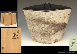 ☆星夢☆　小川哲男　灰釉鉄彩　水指　共箱　茶道具