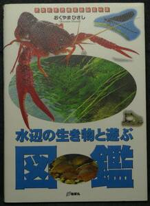 【超希少】【初版、新品並美品】古本　水辺の生き物と遊ぶ図鑑　アウトドアガイドシリーズ　著者：おくやまひさし　(株)地球丸