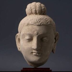 【即決】ガンダーラ美術　仏頭　3〜5世紀