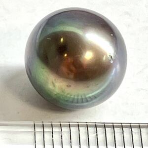 (南洋黒蝶真珠2.4g)M 約11.937ct 11.8×11.7mm ルース 裸石 宝石 black pearl tahitian 真珠 ソーティング付き DC0/DC0 K