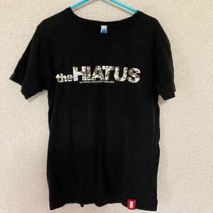 the HIATUS the HIATUS × SKULLSHIT HARDLINER Tシャツ Sサイズ