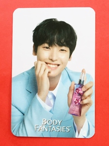 SF9 エスエフナイン えすえぷ BODY FANTASIES ボディファンタジー 限定品 封入 トレカ インソン INSEONG 即決 △コード使用済み