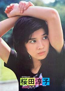 桜田淳子ーすがおの18才ー 　　写真集＋歌本 　　　1976年 　エイプリル・ミュージック 　　入手困難　良品！