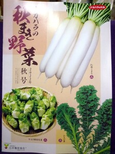 ★ カタログ★　ナカハラの秋まき野菜　２０２３年秋号　◎役立つ情報がいっぱい♪　ゆうパケット便でもOK♪