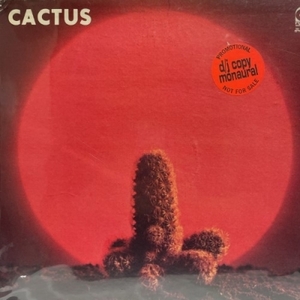 【コピス吉祥寺】CACTUS/CACTUS(33340)