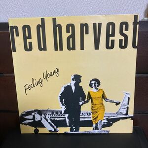 試聴済　美盤　送料無料　ネオアコ本掲載、red harvest feeling young オリジナル12インチ　インディロック ギターポップ twee pop neoaco