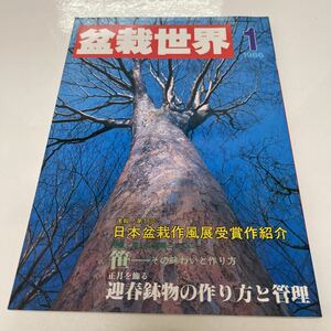 盆栽世界 1986年1月号 草もの盆栽としての笹 日本盆栽作風展 迎春鉢物の作り方