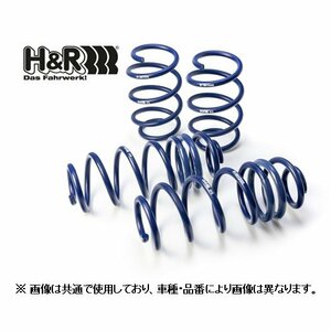 H＆R ダウンサス フロントのみ ベンツ Eクラスワゴン W212 E250/E300/E350/E550 212###　29076-8