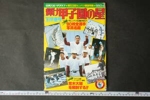 4586 日刊スポーツグラフ 輝け甲子園の星 