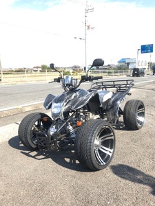 新車 ATV 　バギーカスタム 14インチ