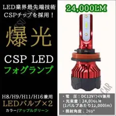 爆光 LEDフォグランプ H8 H11 H16 グリーンアップル ライムグリーン