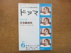 2205YS●テレビ・ラジオの脚本専門誌 ドラマ / 1981.6●「青春戯画集」オリジナルシナリオ 全20回分 中島丈博/石森史郎