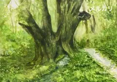 和池の大カツラ　水彩画　原画