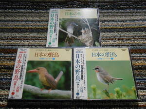 ◎レア廃盤。日本の野鳥　3枚セット！　シール帯