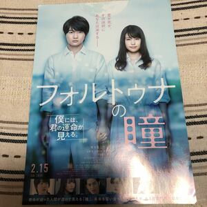 フォルトゥナの瞳_神木隆之介、有村架純、志尊淳、松井愛莉など映画ポスター、フライヤー1枚