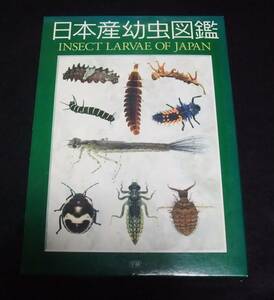 『日本産幼虫図鑑』　INSECT LARVAE JAPAN