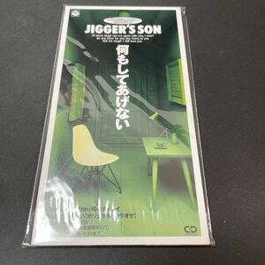 8+143 新品未開封 見本品 8cmCD JIGGER’S SON /何もしてあげない/噂のディレイ