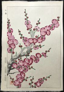 木版画 河原崎奨堂【紅梅】芸艸堂版 大判 彫長島 摺新味 真作 ■ 浮世絵 新版画 植物画 Ukiyoe