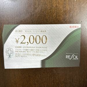 リソル 株主優待 20000円分　株主カード付き