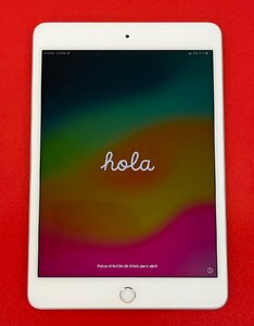 1円～　Apple iPad mini 第5世代 / Wi-Fi + Cellular / 256GB / シルバー / iOS17.2 / SIMフリー / 7.9型 (2048 x 1536) / バッテリー96%