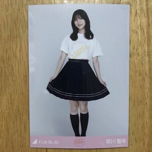 乃木坂46 早川聖来 星野みなみ 卒業セレモニーTシャツ 生写真 ヒキ 1枚 検) 会場 販売 東京国際フォーラム