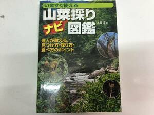 即決 山菜採りナビ図鑑―いますぐ使える (012 OUTDOOR)大海 淳