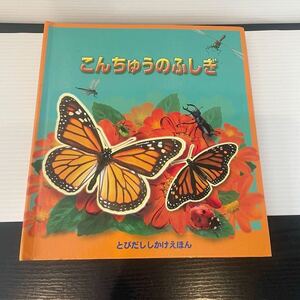 2008年　飛び出す絵本　こんちゅうのふしぎ　リチャード・ファーガソン　大日本絵画　古本　仕掛け絵本