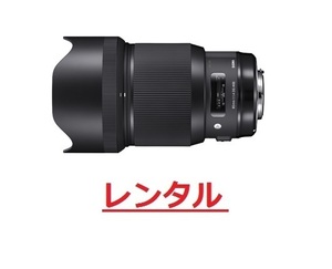 【レンタル6日間】Sigma 85mm F1.4 DG HSM [キヤノン用]