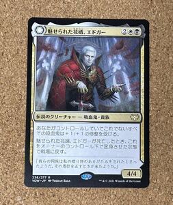 MTG 魅せられた花婿、エドガー 日本語 通常版 マジック:ザ・ギャザリング